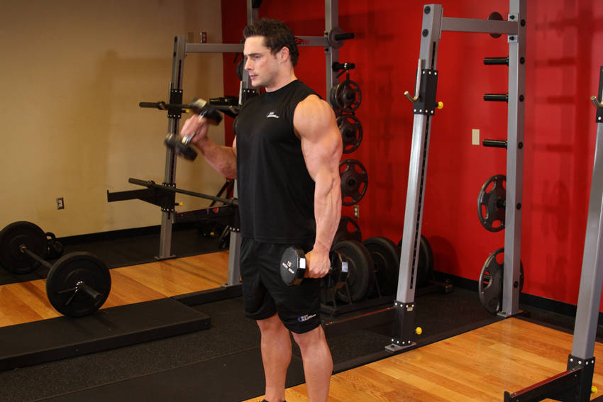 Alternate Hammer Curl — Dumbbell Biceps exercise demonstration