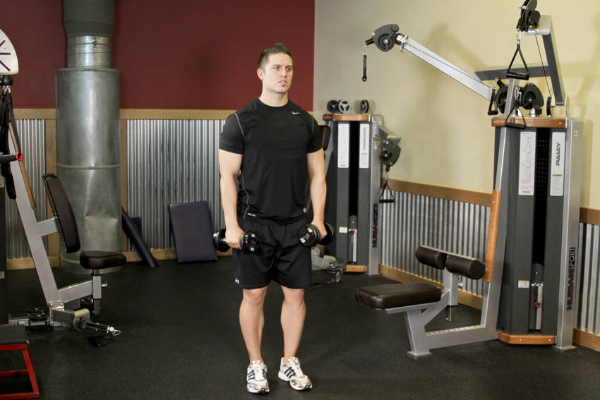 Alternating Deltoid Raise — Dumbbell Shoulders exercise demonstration