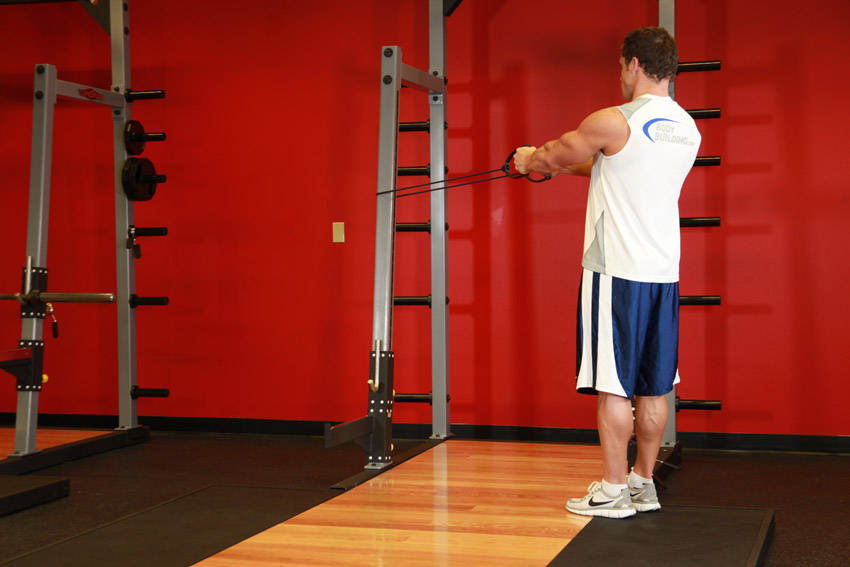 Back Flyes - With Bands — Band Shoulders exercise demonstration