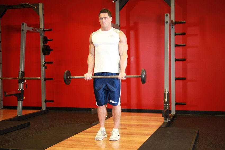 Barbell Curl — Barbell Biceps exercise demonstration