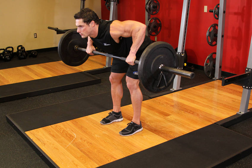 Barbell Rear Delt Row