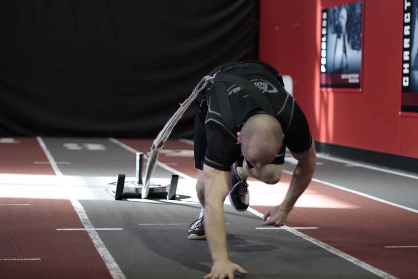 Bear Crawl Sled Drags — Other Quadriceps exercise demonstration