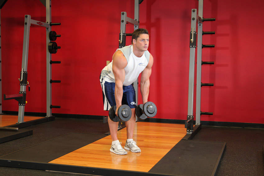 Bent Over Two-Dumbbell Row With Palms In — Dumbbell Middle Back exercise demonstration