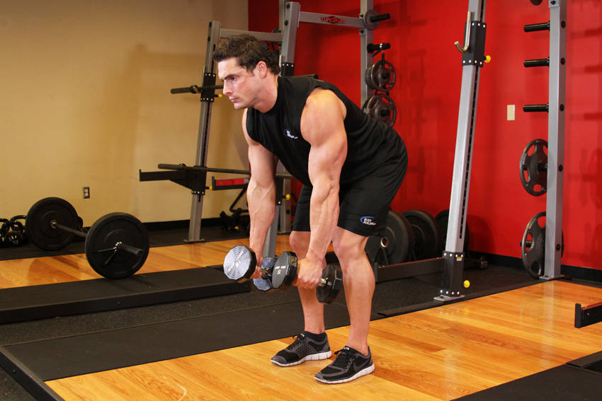 Bent Over Two-Dumbbell Row — Dumbbell Middle Back exercise demonstration