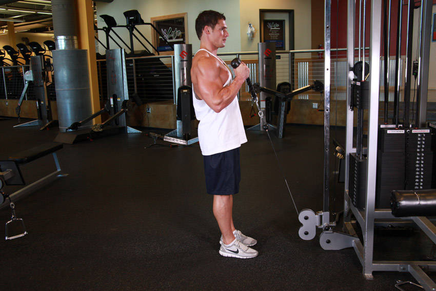 Cable Hammer Curls - Rope Attachment — Cable Biceps exercise demonstration
