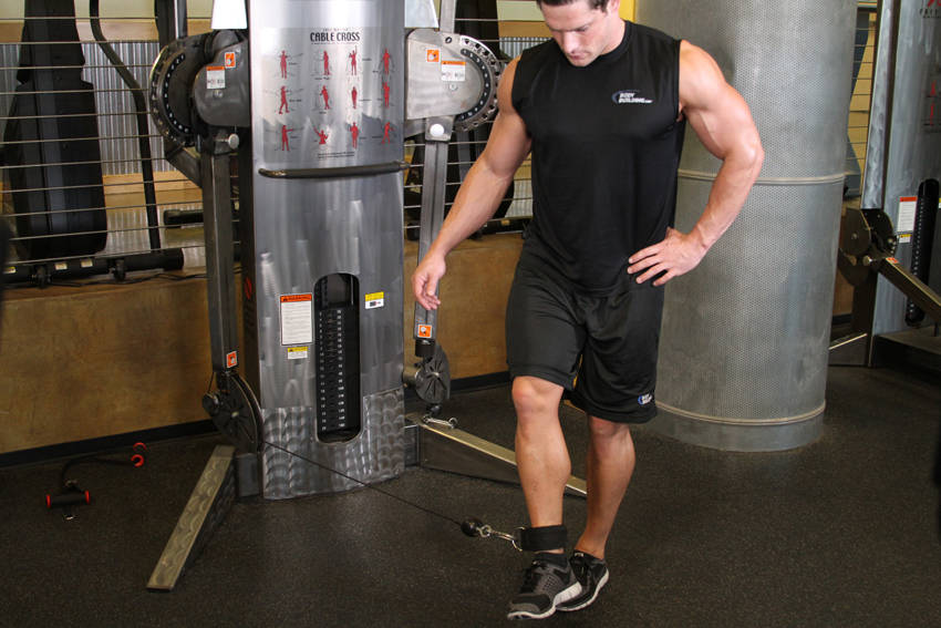 Cable Hip Adduction