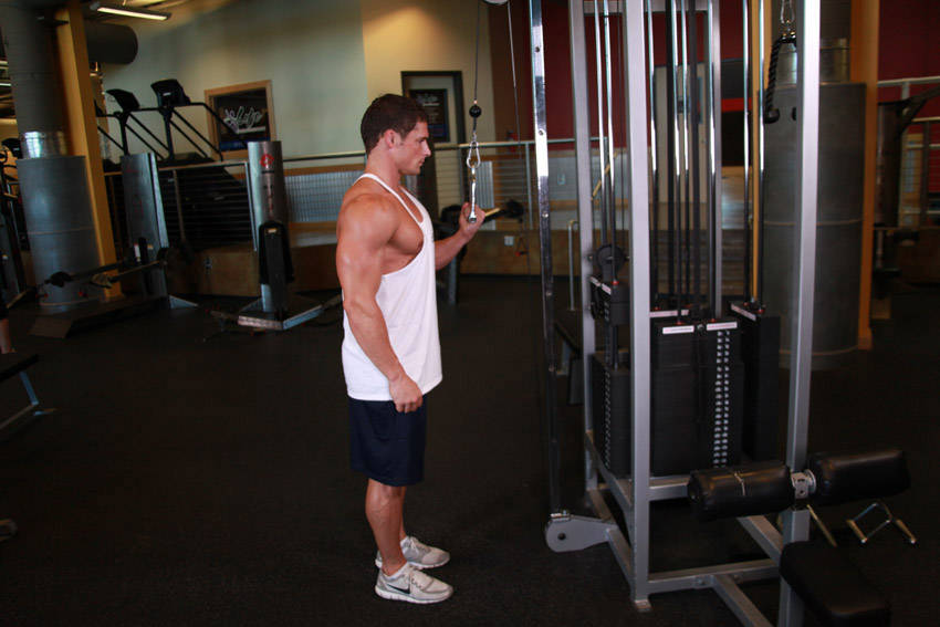 Cable One Arm Tricep Extension — Cable Triceps exercise demonstration