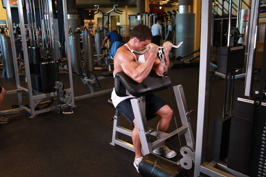 Cable Preacher Curl — Cable Biceps exercise demonstration