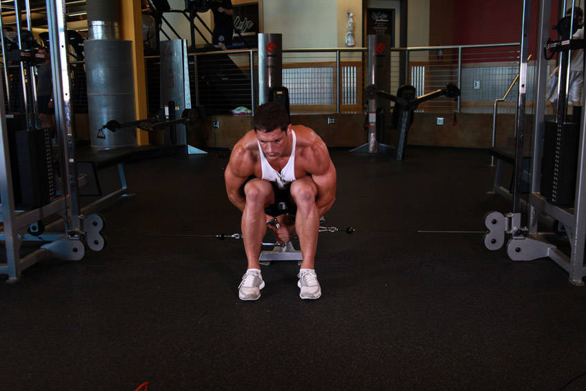Cable Seated Lateral Raise — Cable Shoulders exercise demonstration