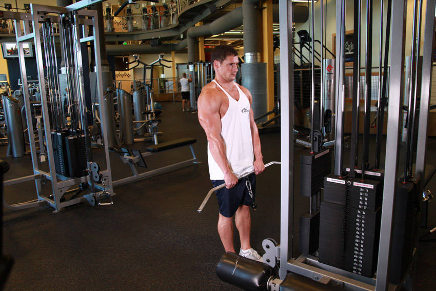 Cable Shrugs — Cable Trapezius exercise demonstration