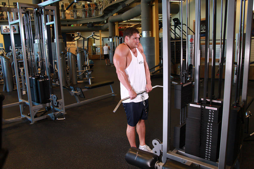 Cable Shrugs