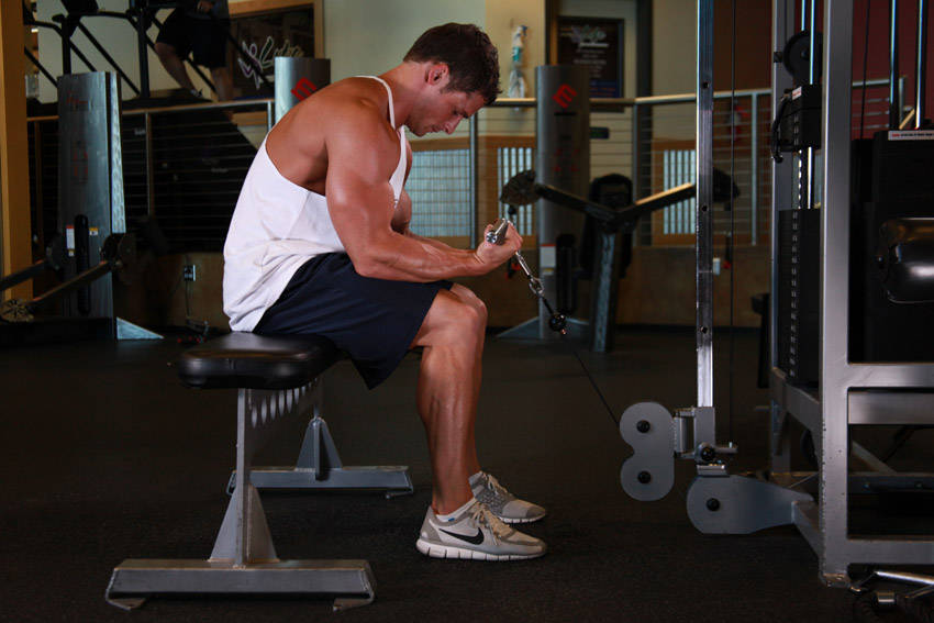 Cable Wrist Curl — Cable Forearms exercise demonstration