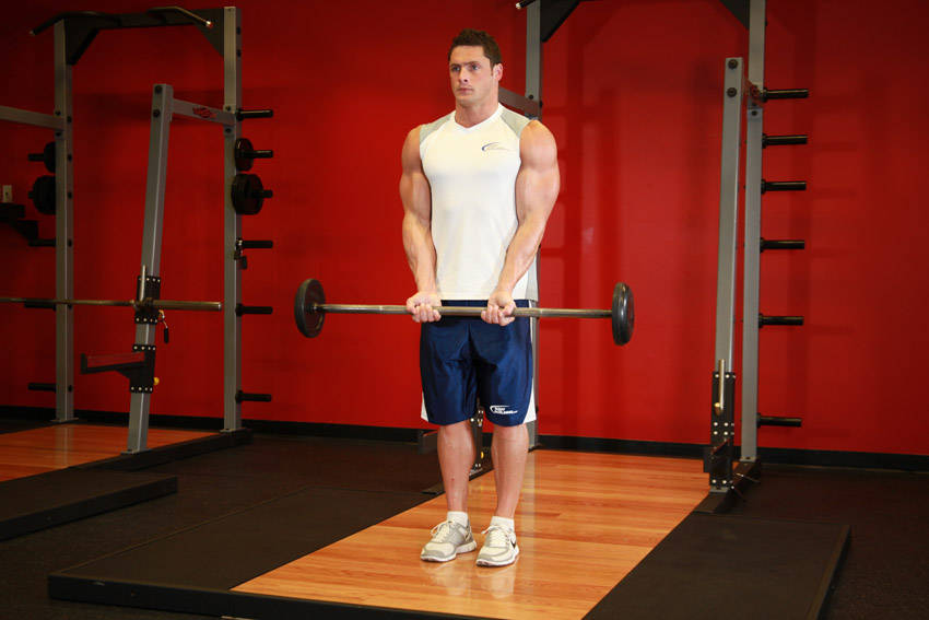 Close-Grip Standing Barbell Curl — Barbell Biceps exercise demonstration