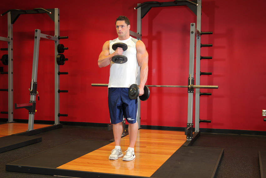 Cross Body Hammer Curl — Dumbbell Biceps exercise demonstration