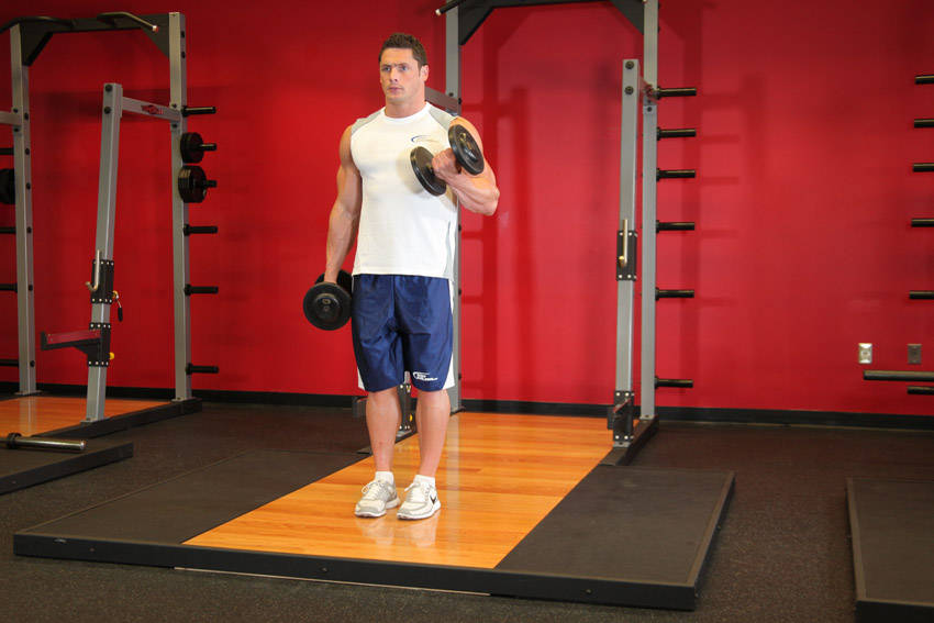 Dumbbell Alternate Bicep Curl — Dumbbell Biceps exercise demonstration
