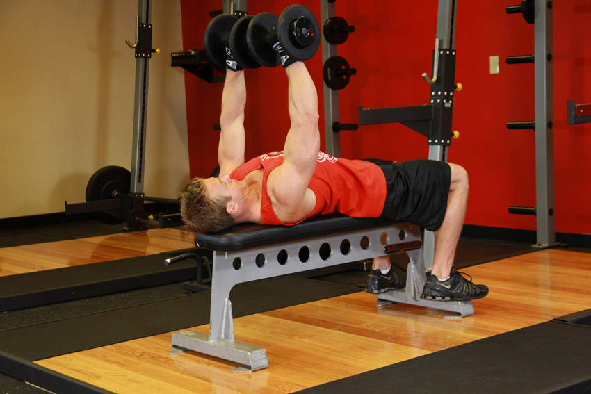 Dumbbell Bench Press — Dumbbell Chest exercise demonstration