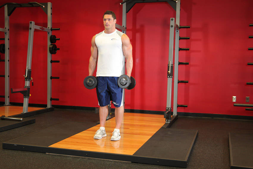 Dumbbell Bicep Curl — Dumbbell Biceps exercise demonstration