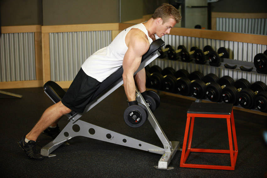 Dumbbell Prone Incline Curl — Dumbbell Biceps exercise demonstration