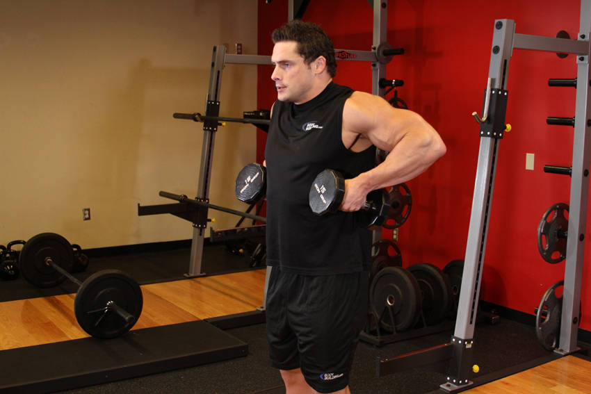 Dumbbell Raise