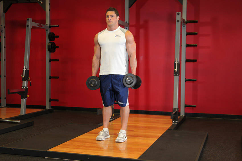 Dumbbell Rear Lunge — Dumbbell Quadriceps exercise demonstration