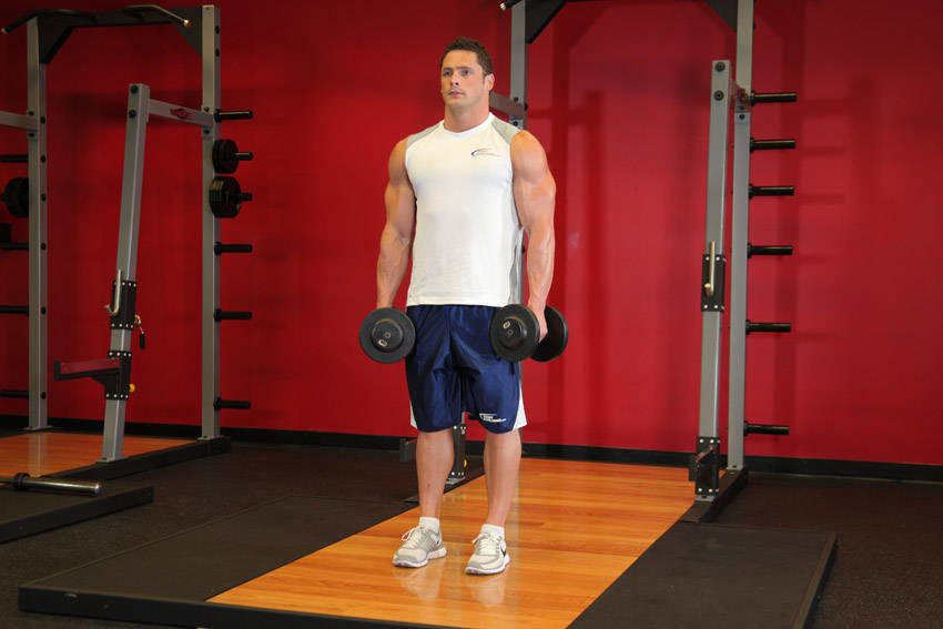 Dumbbell Shrug — Dumbbell Trapezius exercise demonstration