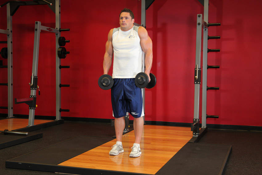 Dumbbell Shrug