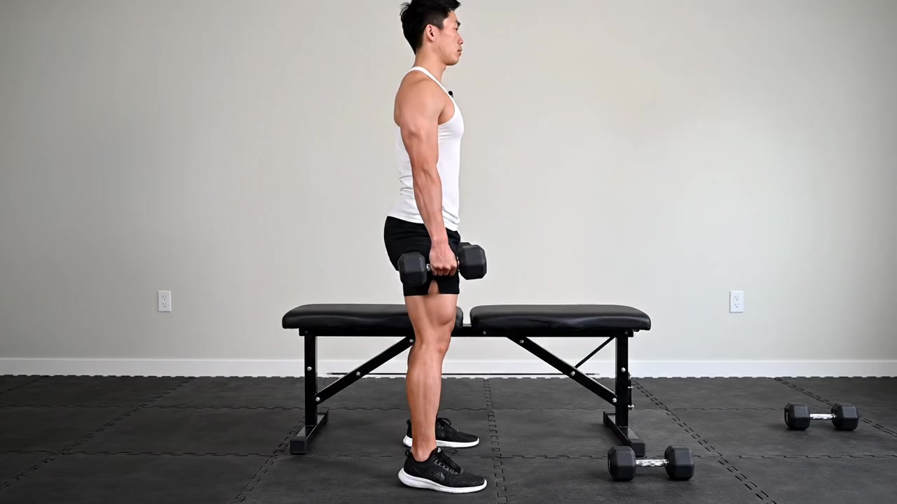 Dumbbell Squat To A Bench