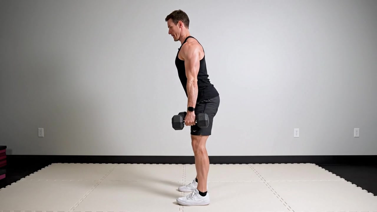 Dumbbell Squat — Dumbbell Quadriceps exercise demonstration