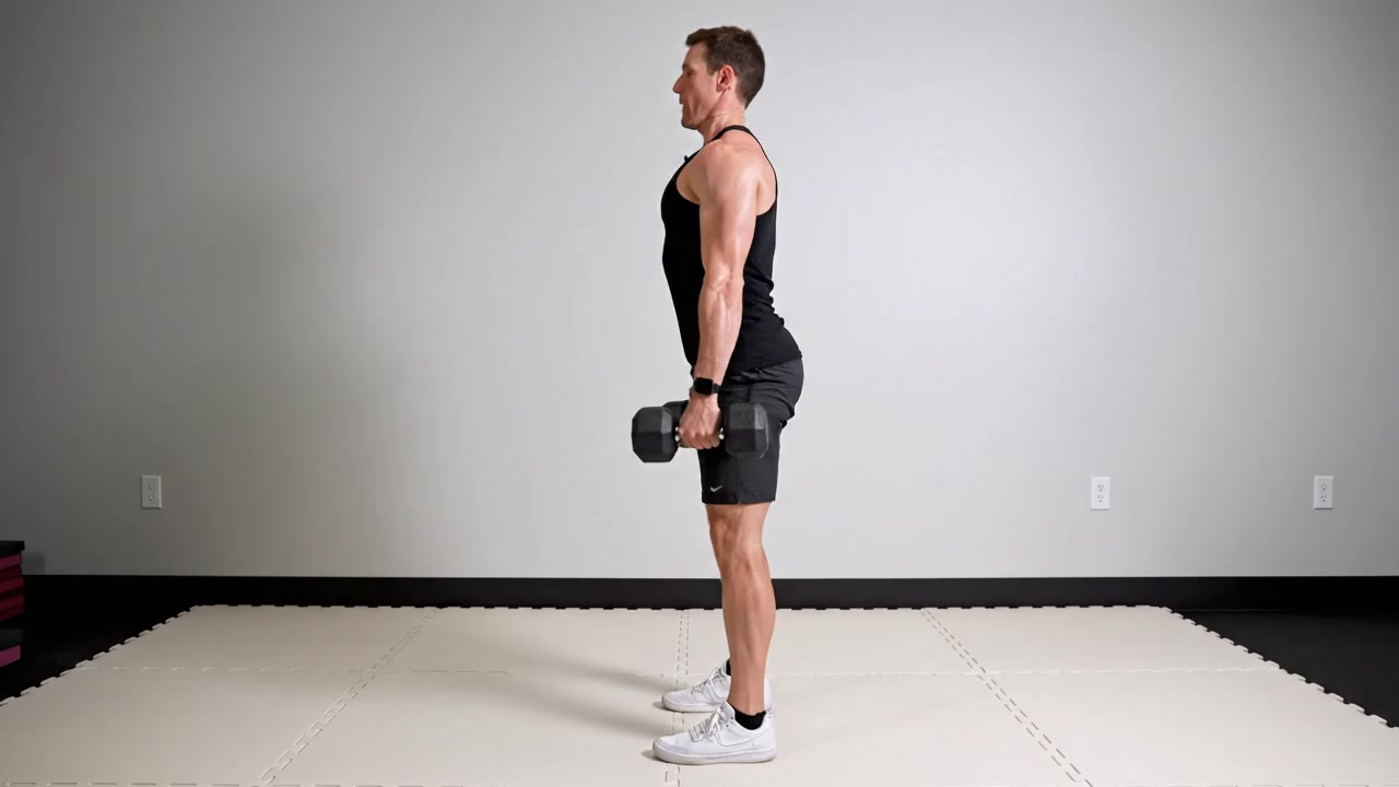 Dumbbell Squat