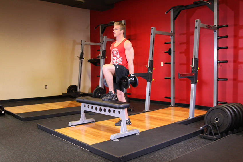 Dumbbell Step Ups — Dumbbell Quadriceps exercise demonstration