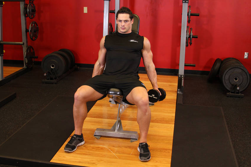 Flexor Incline Dumbbell Curls — Dumbbell Biceps exercise demonstration