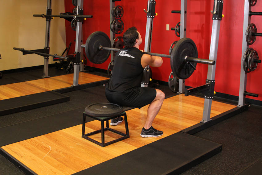 Front Barbell Squat To A Bench — Barbell Quadriceps exercise demonstration