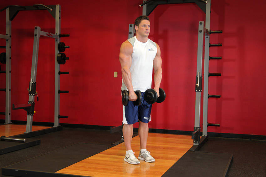 Front Dumbbell Raise — Dumbbell Shoulders exercise demonstration