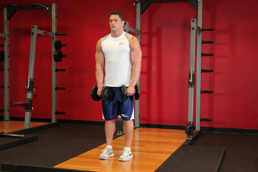 Front Two-Dumbbell Raise