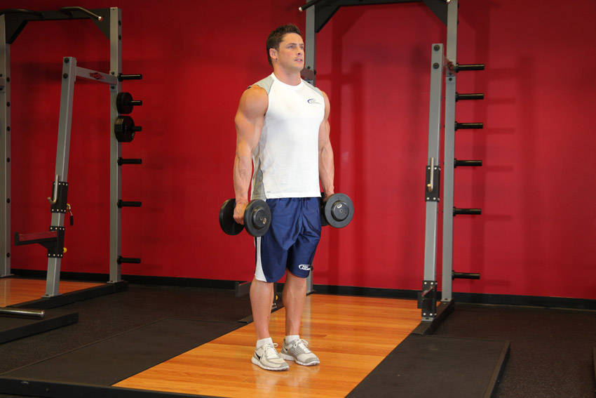 Hammer Curls — Dumbbell Biceps exercise demonstration