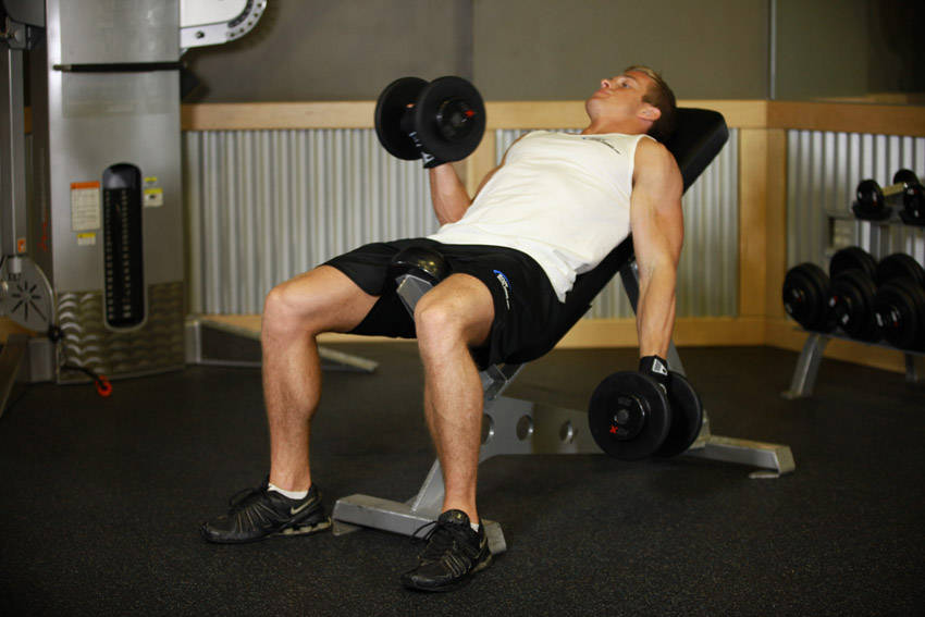 Incline Dumbbell Curl — Dumbbell Biceps exercise demonstration