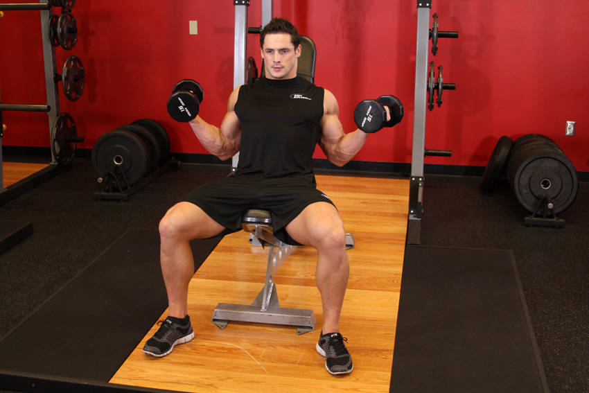 Incline Inner Biceps Curl — Dumbbell Biceps exercise demonstration