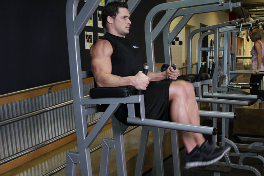Knee/Hip Raise On Parallel Bars — Other Abdominals exercise demonstration