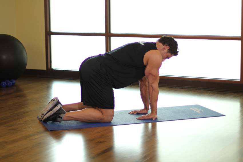 Kneeling Forearm Stretch — Body Weight Forearms exercise demonstration
