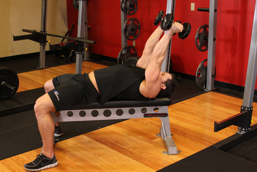 Lying Dumbbell Tricep Extension — Dumbbell Triceps exercise demonstration