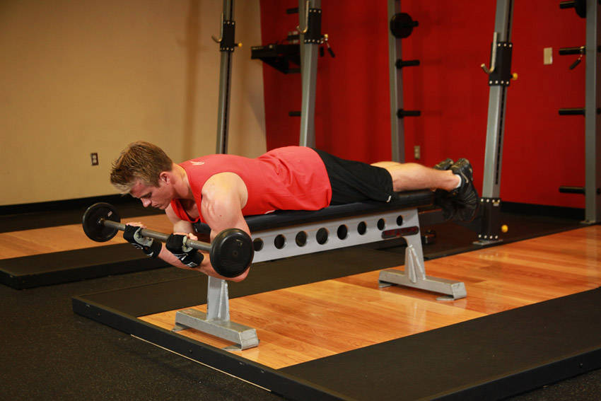 Lying High Bench Barbell Curl — Barbell Biceps exercise demonstration