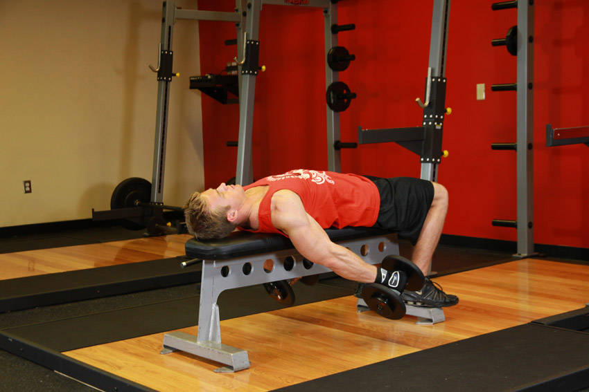 Lying Supine Dumbbell Curl — Dumbbell Biceps exercise demonstration