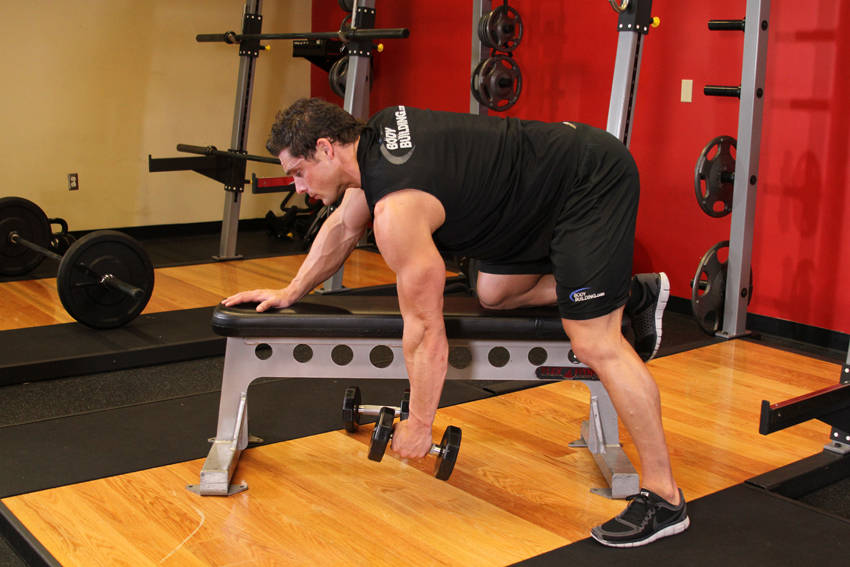 One-Arm Dumbbell Row — Dumbbell Middle Back exercise demonstration