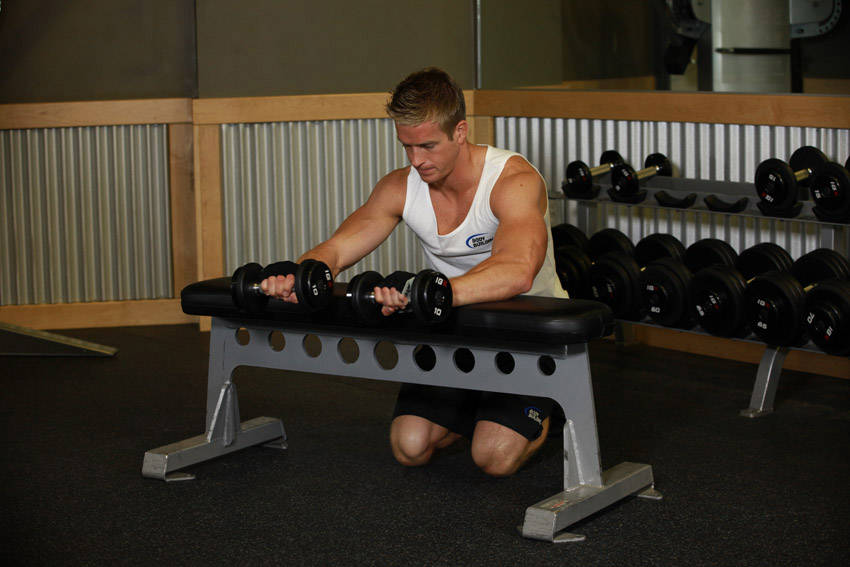 Palms-Down Dumbbell Wrist Curl Over A Bench — Dumbbell Forearms exercise demonstration
