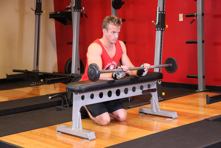 Palms-Down Wrist Curl Over A Bench — Barbell Forearms exercise demonstration