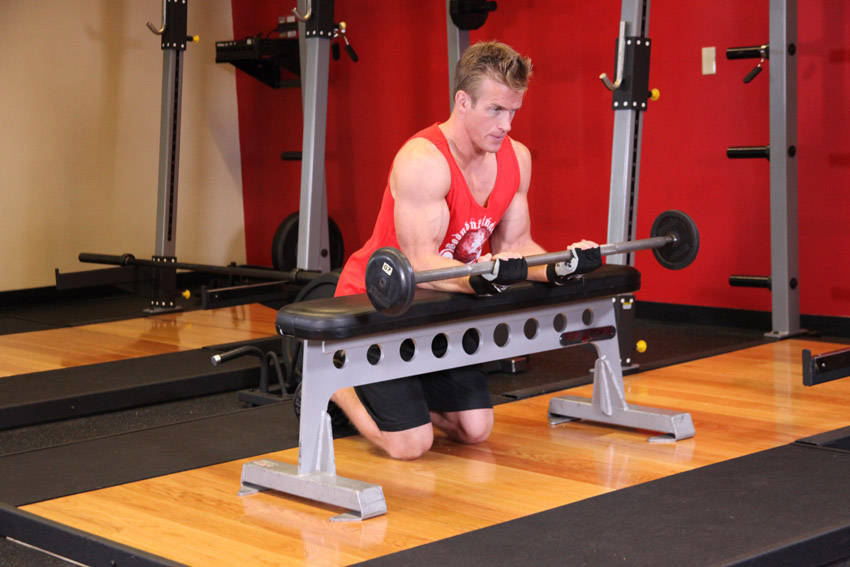 Palms-Up Barbell Wrist Curl Over A Bench — Barbell Forearms exercise demonstration