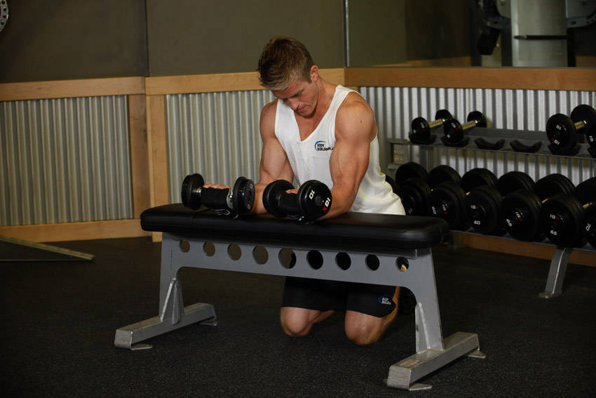 Palms-Up Dumbbell Wrist Curl Over A Bench — Dumbbell Forearms exercise demonstration