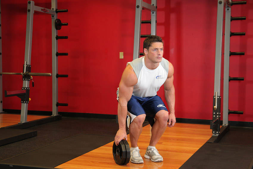 Plate Pinch — Other Forearms exercise demonstration