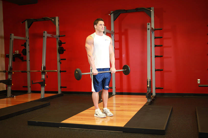Reverse Barbell Curl — Barbell Biceps exercise demonstration