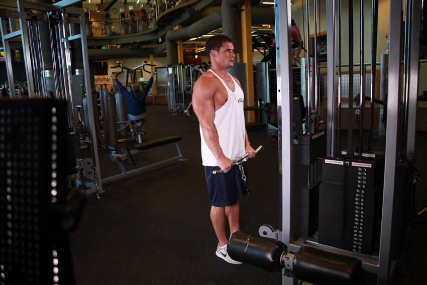 Reverse Cable Curl — Cable Biceps exercise demonstration